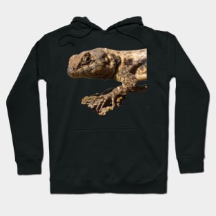 lizard Hoodie